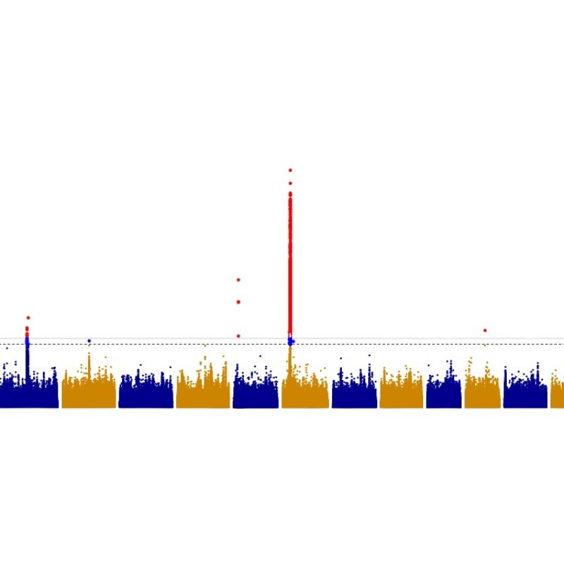 植物生物信息GWAS分析2D3D绘图/单倍型分析构建进化树/生物信息,淘宝优惠券,粉丝福利购,淘宝优惠卷