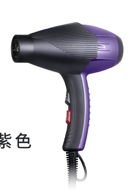 家用吹风机恒温速干护发电吹风宿