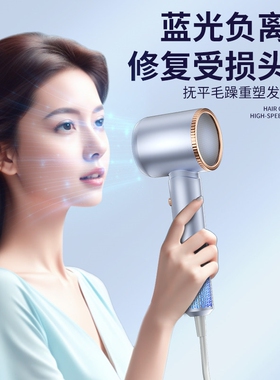 德国电吹风机家用发廊理发店专用
