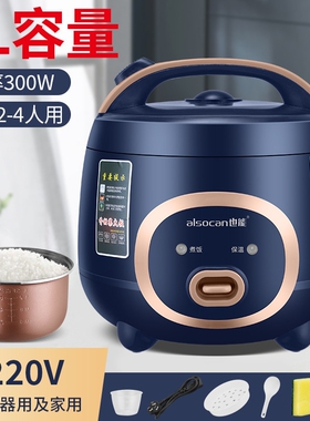 也能正品迷你车载用逆变器2L小电
