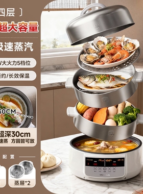 金正全不锈钢电蒸锅食品级家用20