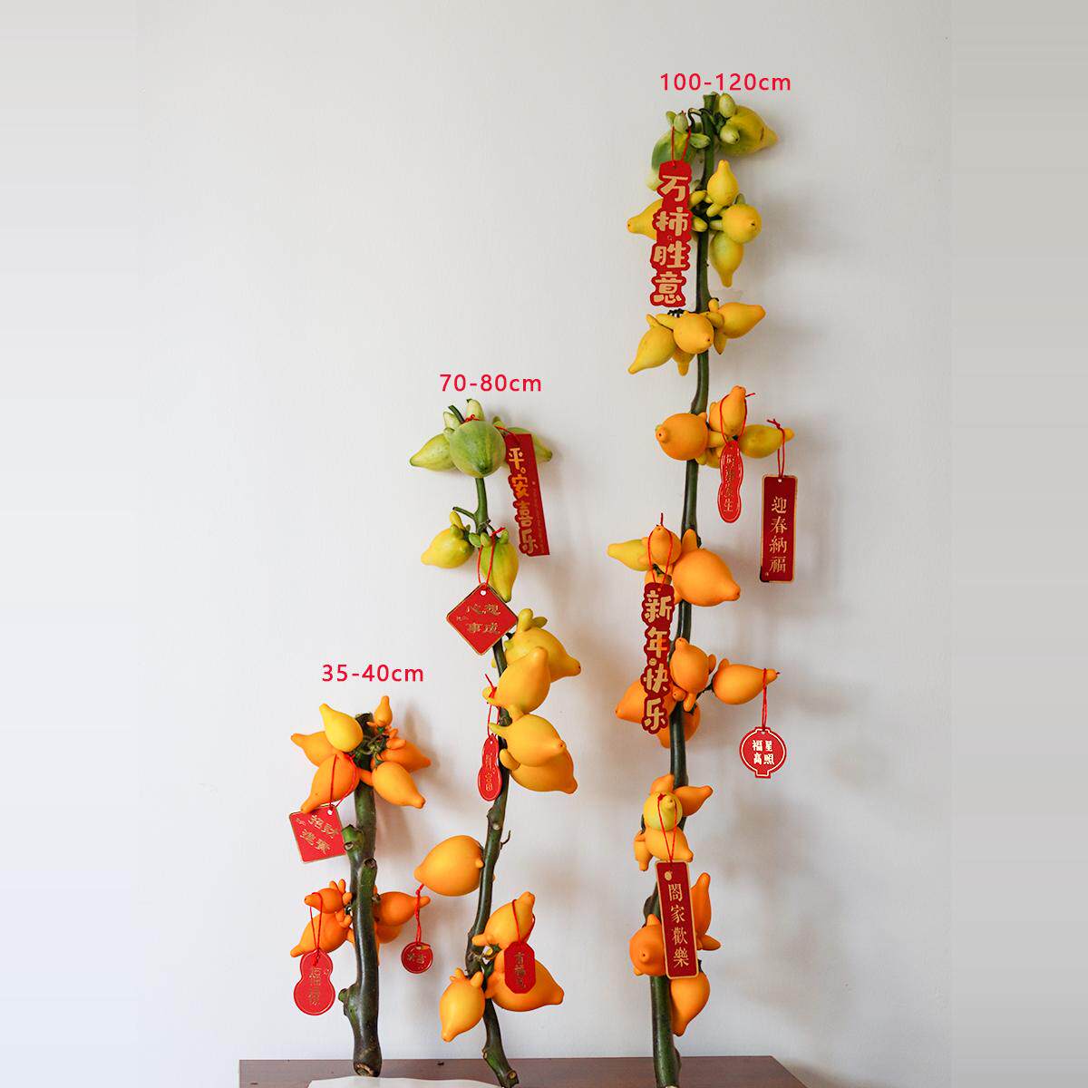 五代同堂黄金果鲜花云南基地直发五袋果福禄果五代果新鲜插花乳茄,淘宝优惠券,粉丝福利购,淘宝优惠卷