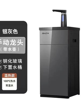 金正茶吧机家用全自动上水遥控智