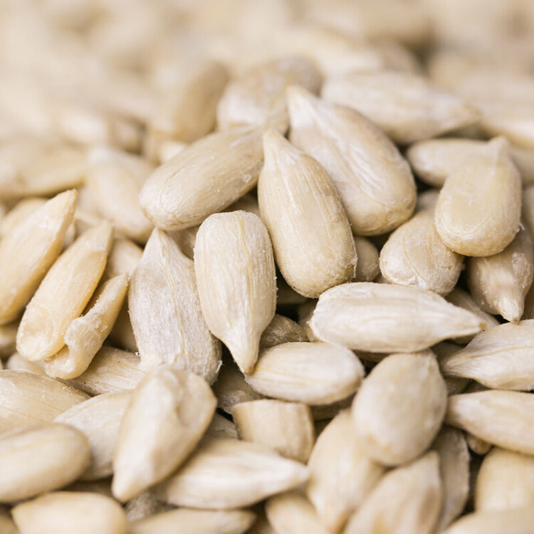 新鲜生葵花籽仁生瓜子仁烘焙原料内蒙古无壳葵花子仁无