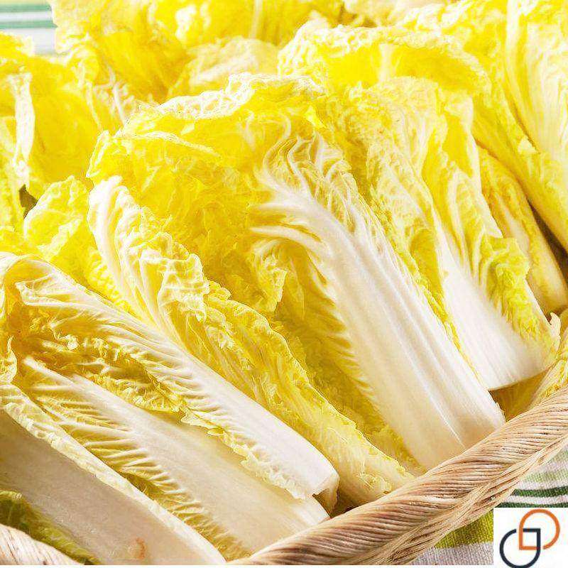 金娃娃菜种子四季 蔬菜种子 生长快 品质佳 菜籽春夏秋四季播种,淘宝优惠券,粉丝福利购,淘宝优惠卷