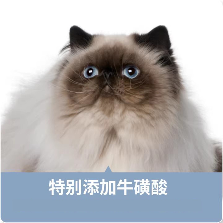 爱丽友猫条50支整箱幼猫营养零食试吃成猫猫咪零食补水,淘宝优惠券,粉丝福利购,淘宝优惠卷