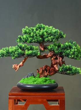 客厅实木仿真迎客松酒店桌面玄关植物松树罗汉松盆景中式装饰摆件