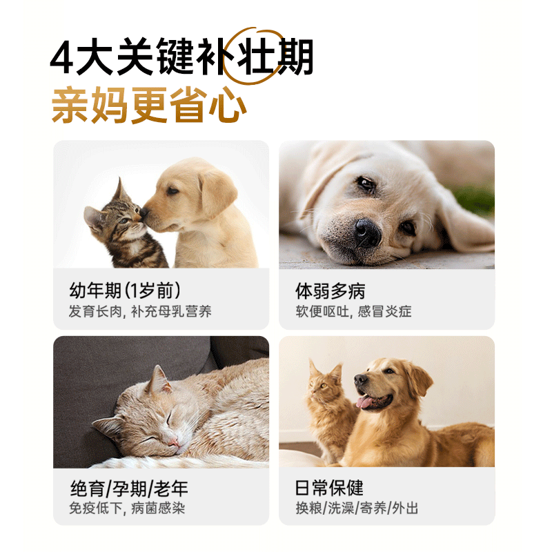 小壳小轻松乳铁蛋白冻干棒牛初乳零食幼猫鼻支,淘宝优惠券,粉丝福利购,淘宝优惠卷