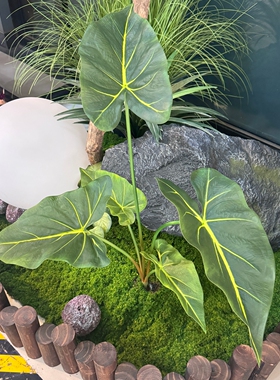 5叉海芋叶仿真盆景室内装饰