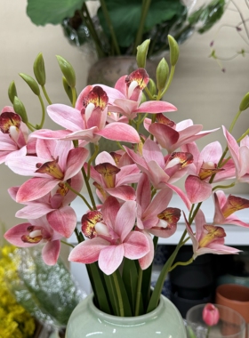 5叉带叶3D胶片仿真蕙兰花