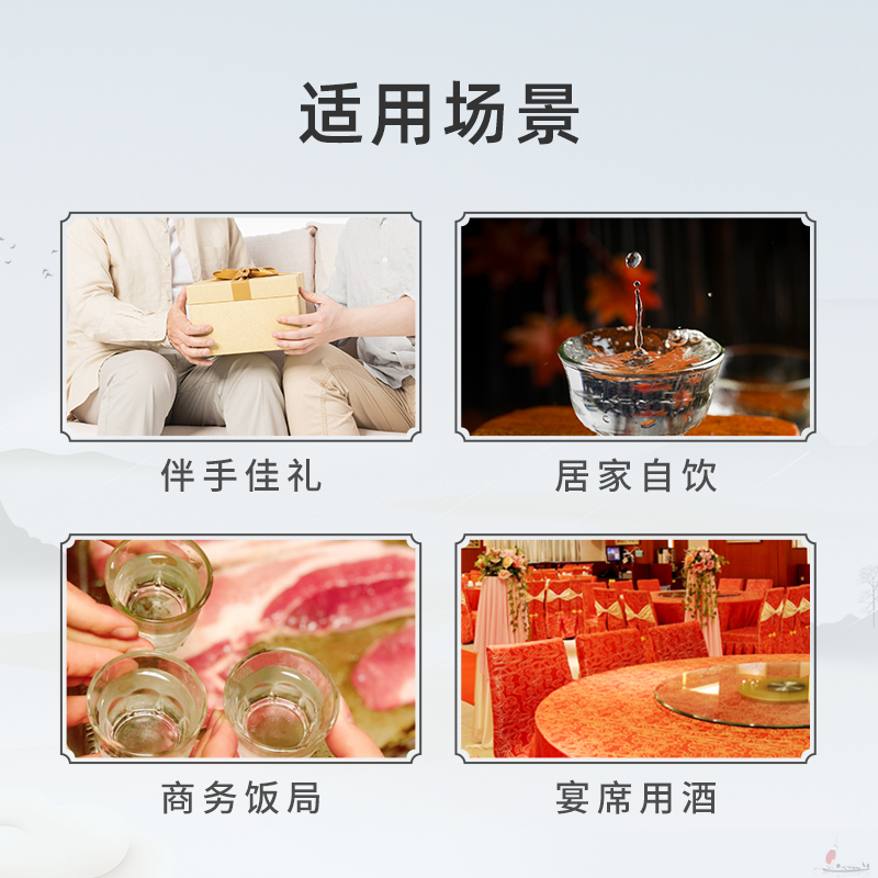 泸州老窖养生酒绿豆大曲银之豆露酒礼盒装高档养生酒整箱500ml*6