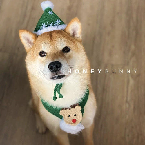 Святые периодические домашние животные шерстяные шерстя