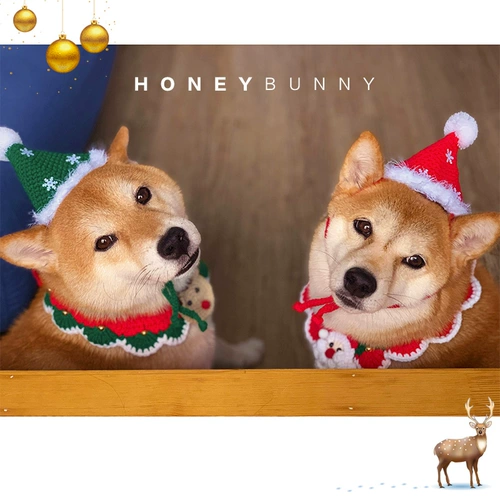 Святые периодические домашние животные шерстяные шерстя