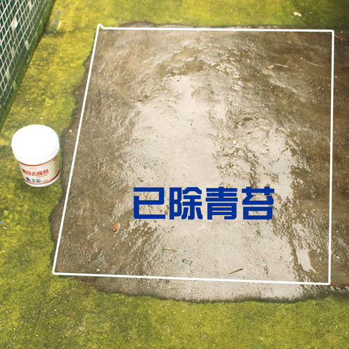青苔专用去除剂克星水泥地面强力房屋苔藓清除剂水池绿藻类青苔净 - 图1