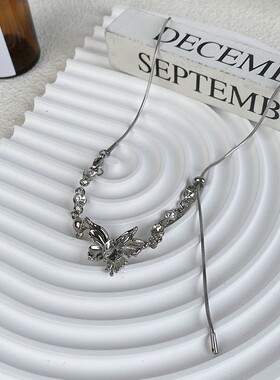 冷淡风抽拉式蝴蝶项链女小众设计感锆石锁骨链百搭高级感颈链项饰