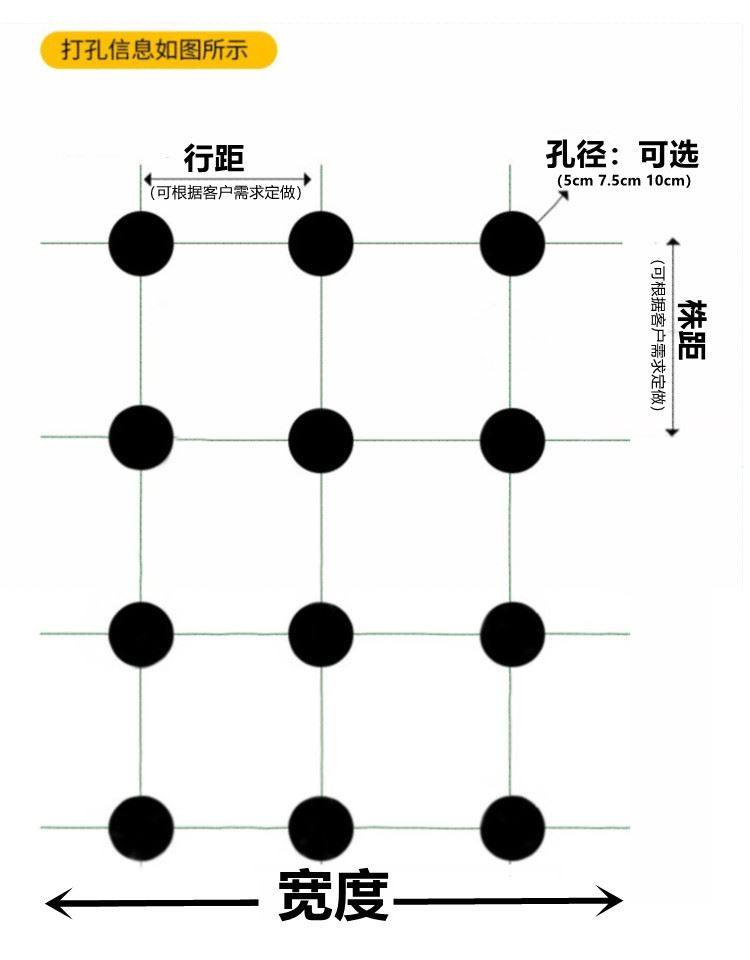 打孔地膜农用种植防草菜地玉米地开孔带孔薄膜黑膜银黑地膜免打孔,淘宝优惠券,粉丝福利购,淘宝优惠卷