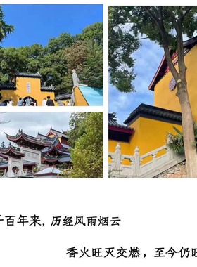 南京鸡鸣寺100%正品莲花白玉