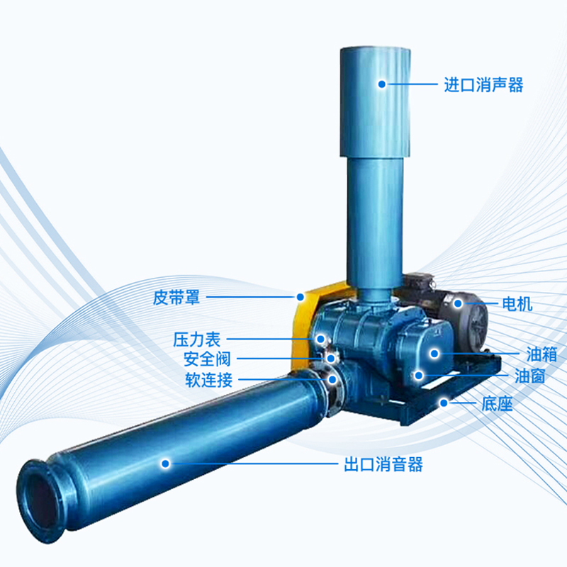 【国标三叶罗茨风机/增氧机】纯铜大功率养殖充氧泵增氧泵曝气机 - 图3