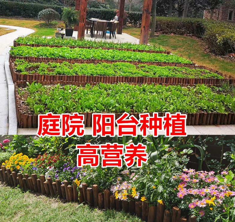 阳台种菜土蔬菜种植土种菜专用土花土大包装30斤包邮黑土营养土壤-图1