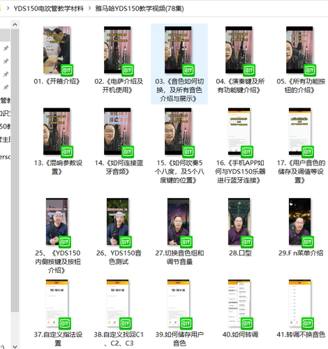 雅马哈罗兰AE1056雅佳乐器电吹管实用教程学习教材视频45000入门 - 图0