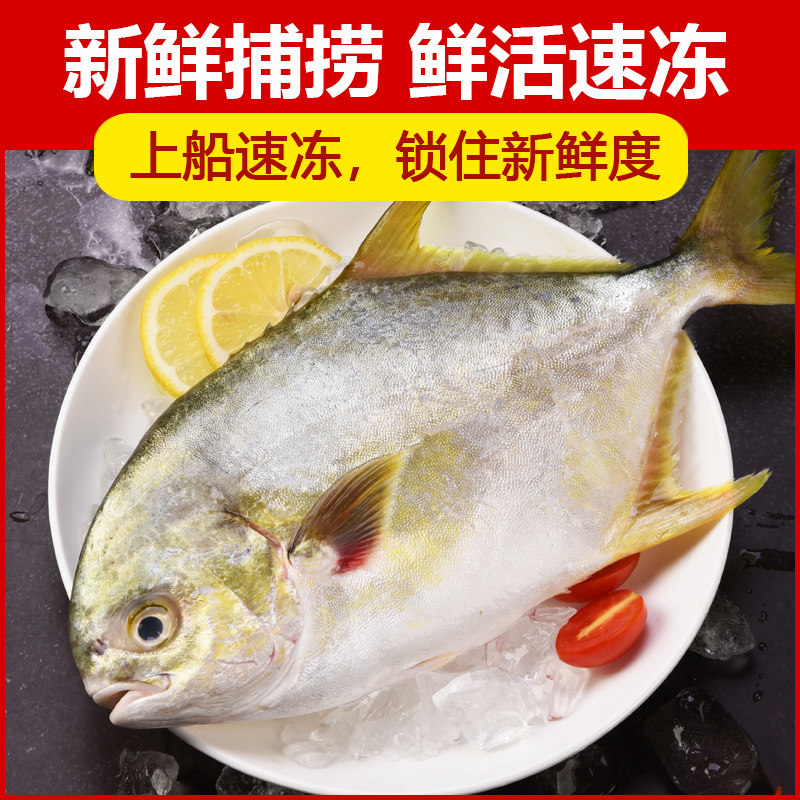 新鲜冷冻水产特大鲳鱼银鲳鱼金鲳鱼_金鲳鱼5斤鲜活速冻-丰益鲜旗舰店 