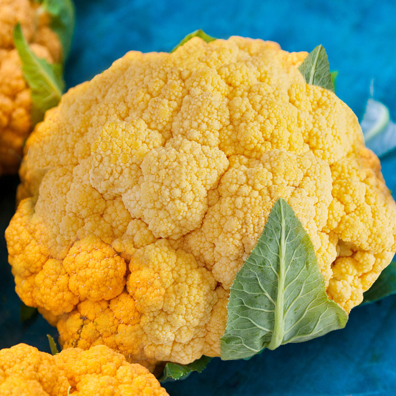 西兰花种子籽彩色花椰菜苗宝塔菜南方花菜孑紫黄色菜花西兰花