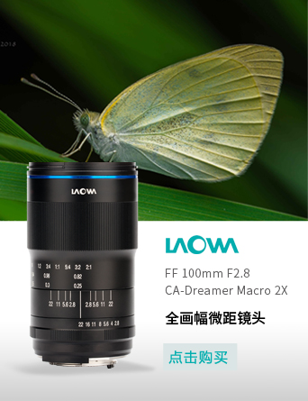 Laowa老蛙100mm F2.8全画幅微距百微镜头2倍放大牙齿昆虫花卉拍摄-图2