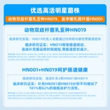 蜀中 Пробиотик, лиофилизированный порошок, сублимированный пребиотик подходит для мужчин и женщин, 20 шт