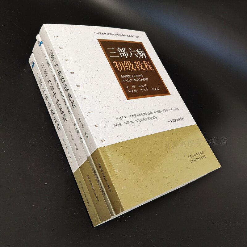 全4册 三部六病普及初级中级高级教程 刘绍武医学文集三部六病传讲录讲座伤寒论条文全解析辨证精义中医临床中医经典教程书籍 - 图3