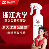 Zhejiang Great Ice Bug Light Catalyst Removal Formaldehyde New House Taint Spray Scavenger Wire Lower franchisees Maternal and Child Level