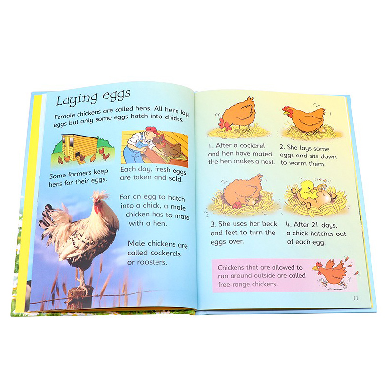 初探动物10册礼盒套装英文原版 Usborne Beginners Animals - 图1