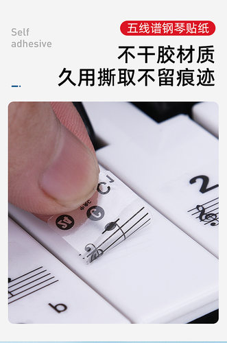 透明88键钢琴键盘贴37/49/54/61键电子琴琴键贴儿童成人五线简谱 - 图1