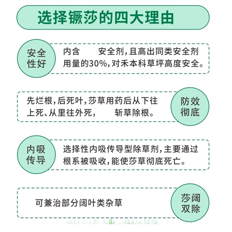 坪安6号 镢莎草净草坪除水蜈蚣香附子三棱草扁莎飘拂草烂根除草剂 - 图0