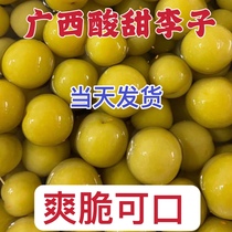 Guangxi cured Li Zi March Li sour sweet and crisp with instant pearl bubbles acid wild March Li Fruit farmhouse homemade