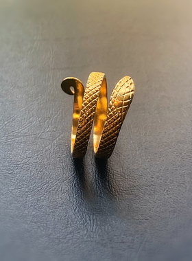 冷锋无垠-灵蛇钛钢戒指男潮开口