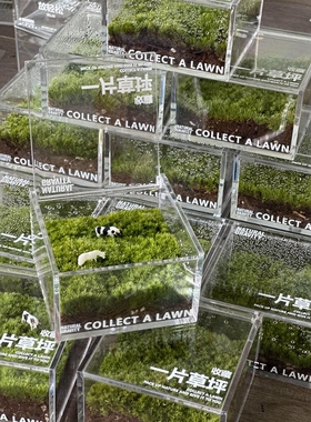 上班学习需要的解压缓解心情摆件