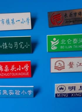 定制漳州卫生职业学院漳州卫校校徽学生别针式PVC滴胶亚克力校徽