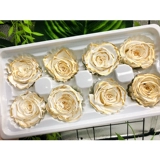 Eternal Life Flower DioRoseamor Platinum Rose Head Golden Made Wedding Complete Boxer Новый год весенний фестиваль