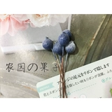 Eternal Life Flower DIY Multi -Color In -Fruit Material Accessories