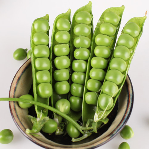 2026豌豆新鲜云南高原带壳青豆角脆甜水果豌豆荚现摘现发5斤顺丰 - 图1