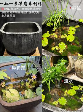 特大型循环水饰品粗陶古法鱼睡莲壶荷花大缸景德镇花盆水培绿色植