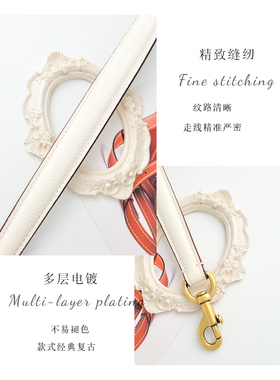 蔻驰水桶包coach酒神tabby包带