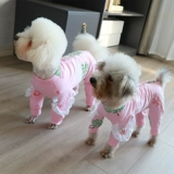 Бесплатная доставка животное плюшевое медвежье медвежь