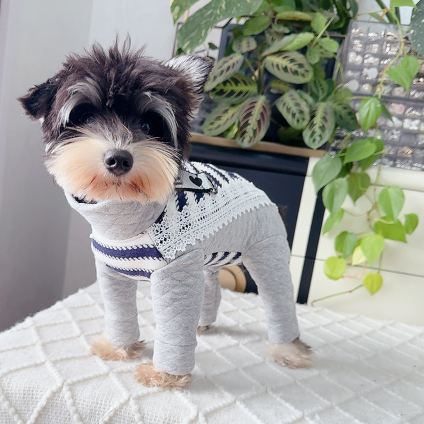 安班公母狗犬秋冬夹棉中厚保暖包肚四脚衣泰迪比熊双排扣全棉牵引,淘宝优惠券,粉丝福利购,淘宝优惠卷