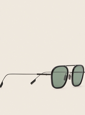 ZEGNA杰尼亚灰色太阳镜