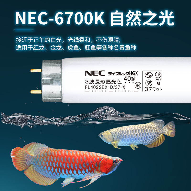 NEC灯管T8龙鱼荧光灯管飞利浦灯管6700K发色灯诱色灯增艳灯965-图2