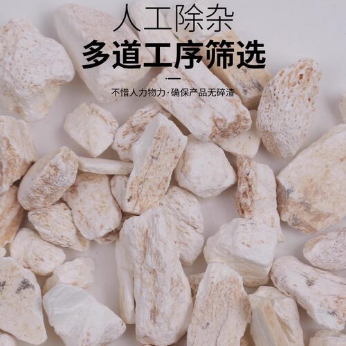 龙骨中药材500克生龙骨百花龙骨煅龙骨天然龙骨可打粉另售牡蛎 - 图0