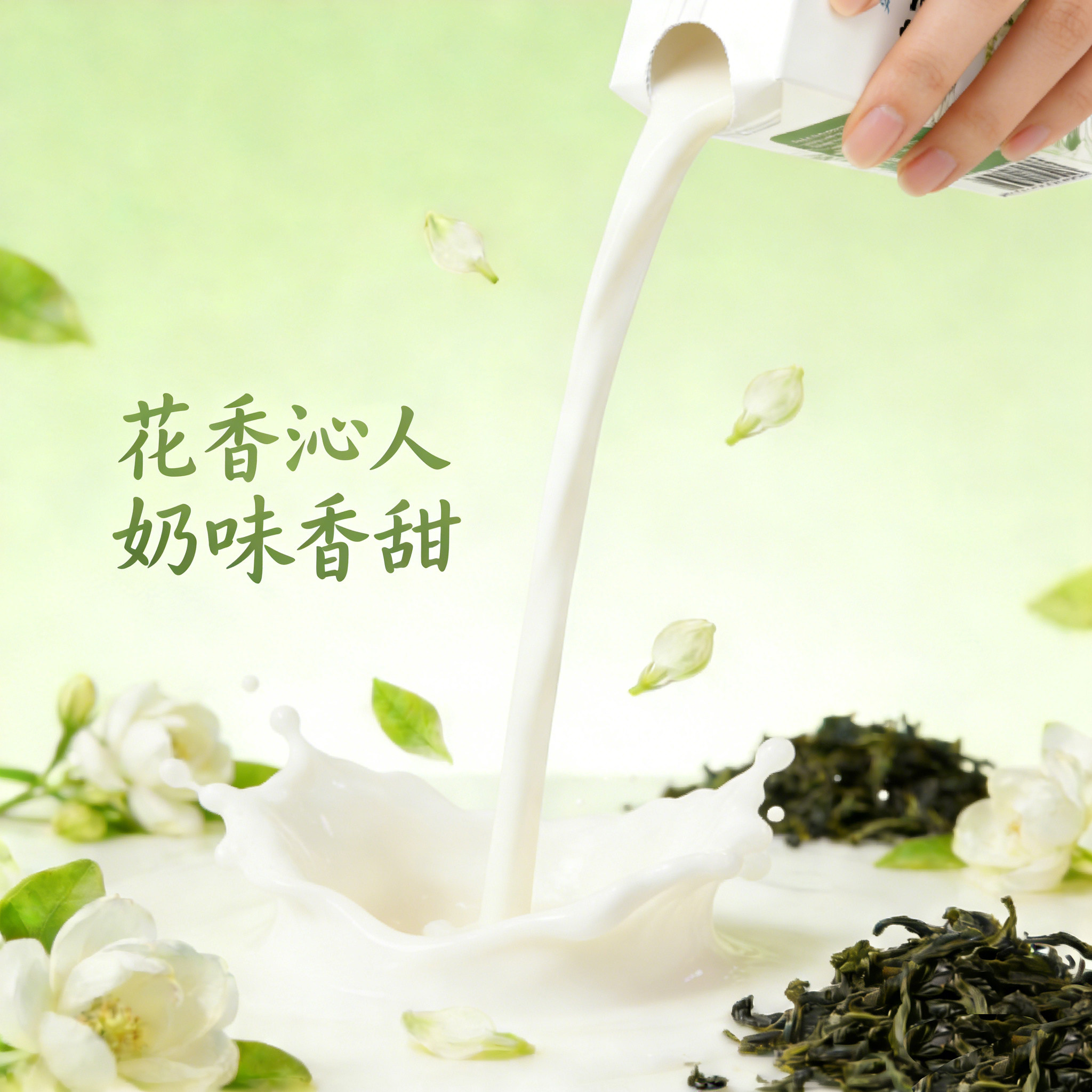 【新日期】天太茉莉雪芽牛奶250ml*24盒学生早餐奶网红甜牛奶整箱