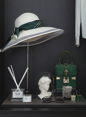 女衣帽间衣服首饰包香薰饰品摆件