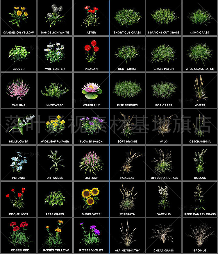 C4D植物插件 Forester花草植物插件R17-R26  Win Forester插件 - 图0